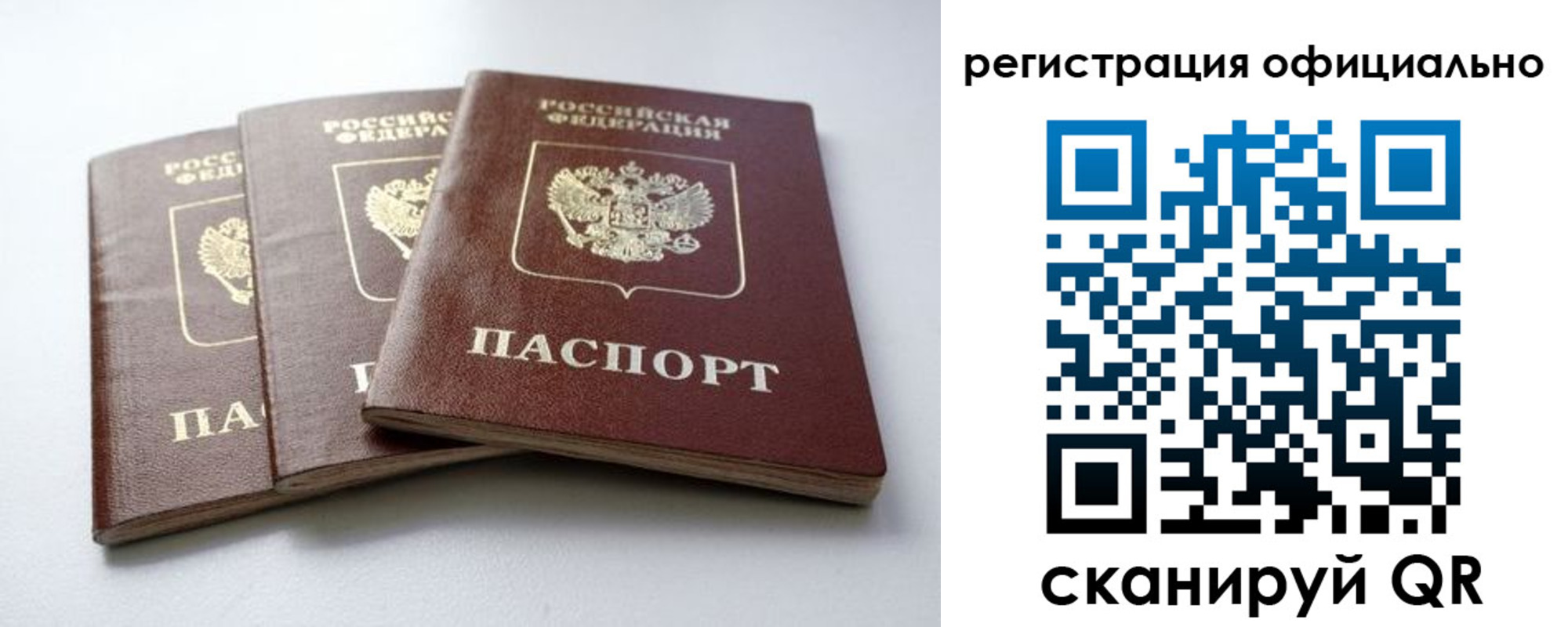 прописка паспорт в Димитровграде
