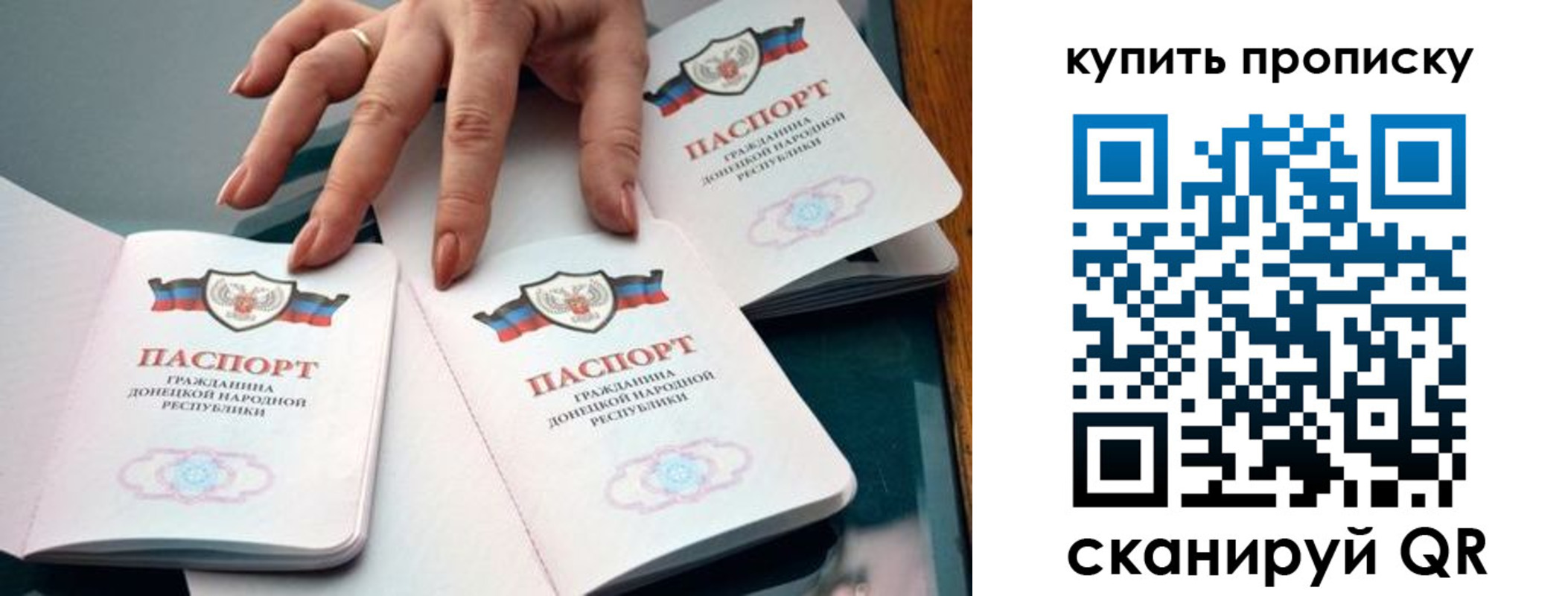 где прописаться в Димитровграде